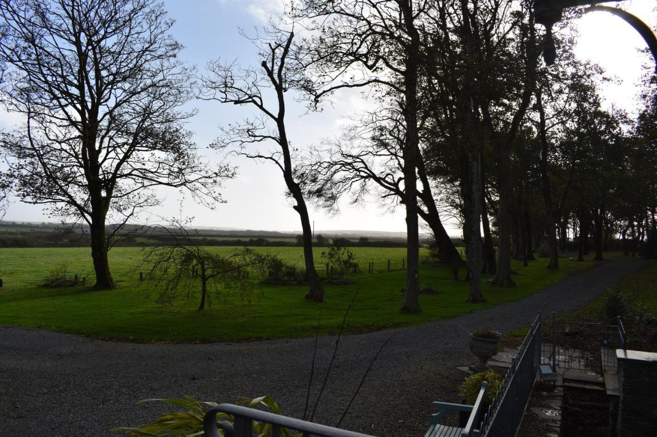Crug Glas Country House St Davids Exterior foto