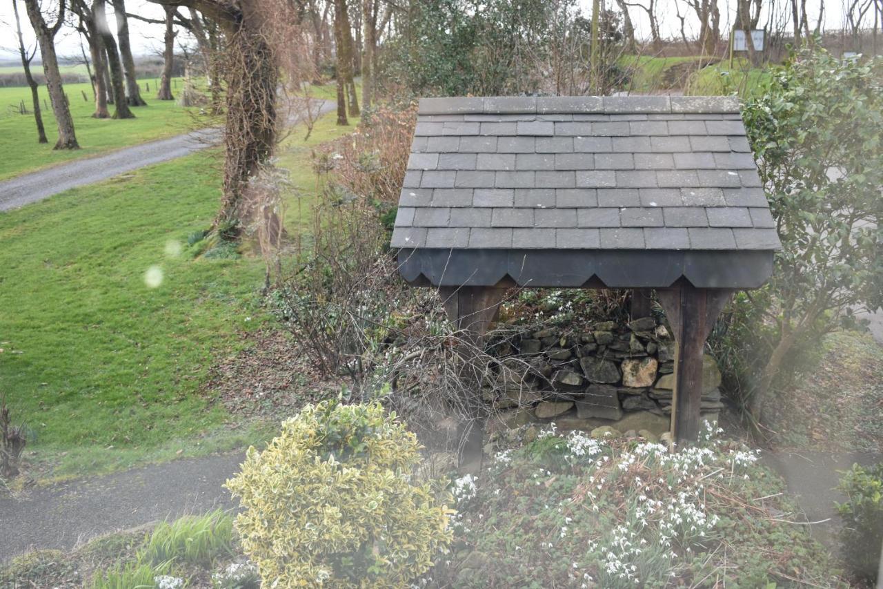 Crug Glas Country House St Davids Exterior foto