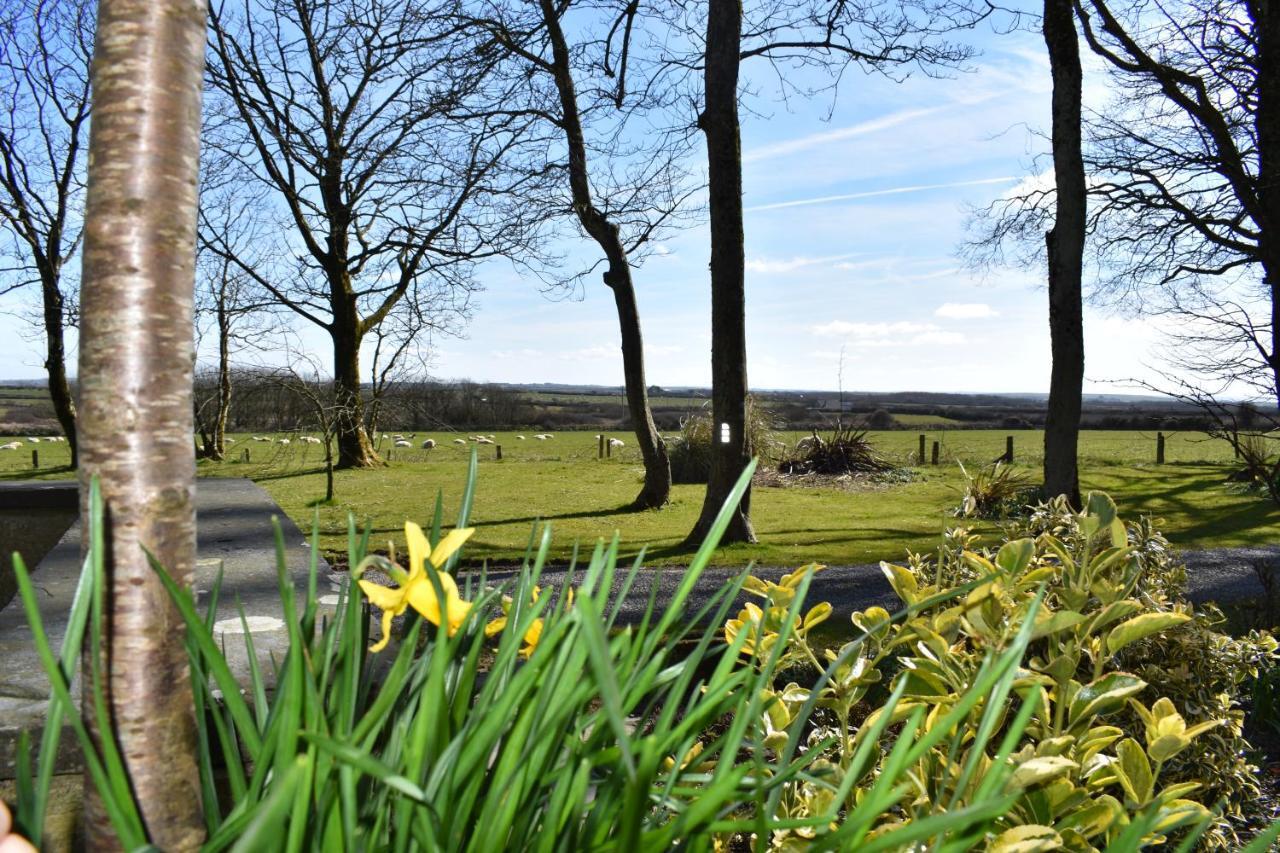 Crug Glas Country House St Davids Exterior foto